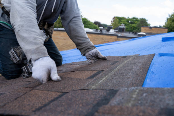 Best Flat Roofing  in Victor, ID