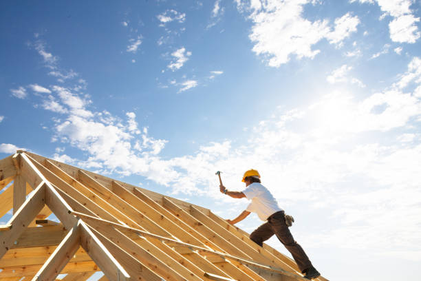 Best Roof Moss and Algae Removal  in Victor, ID